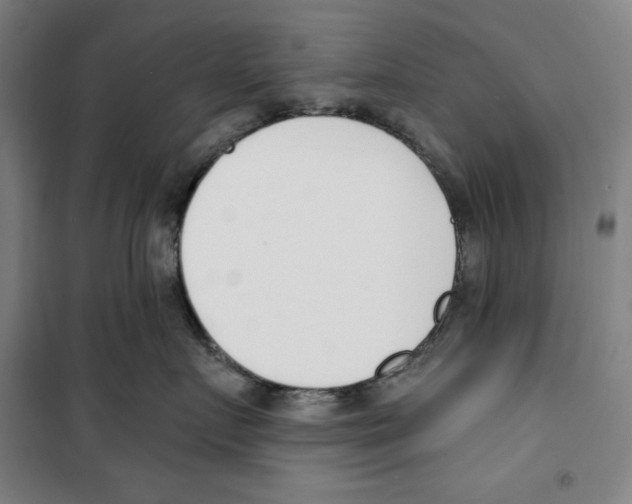 X0000100320719200807031211