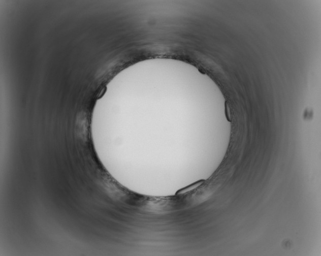 X0000100320720200807031211