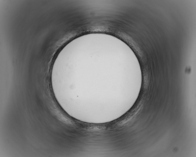 X0000100320721200807031210