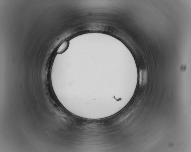 X0000100320723200807031210