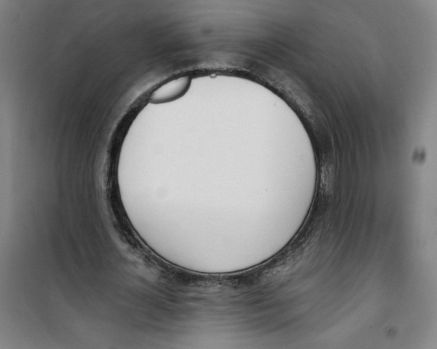 X0000100320724200807031210