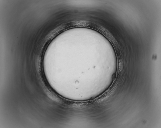 X0000100320725200807031210