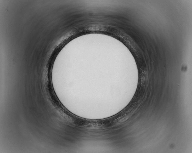 X0000100320727200807031210