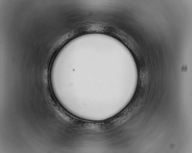 X0000100320729200807031210