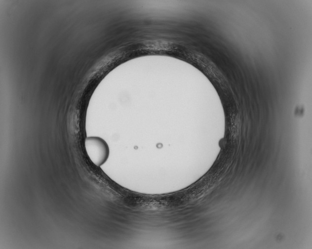 X0000100320731200807031210