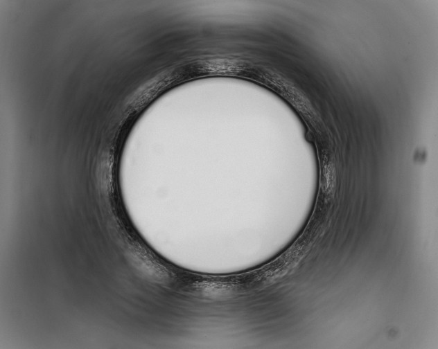 X0000100320733200807031210