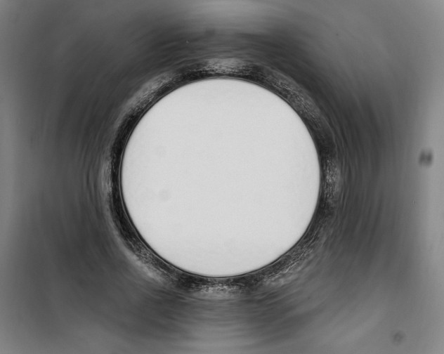 X0000100320734200807031210