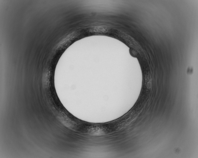 X0000100320735200807031210