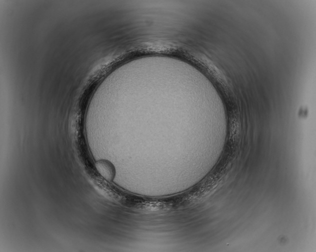 X0000100320736200807031210