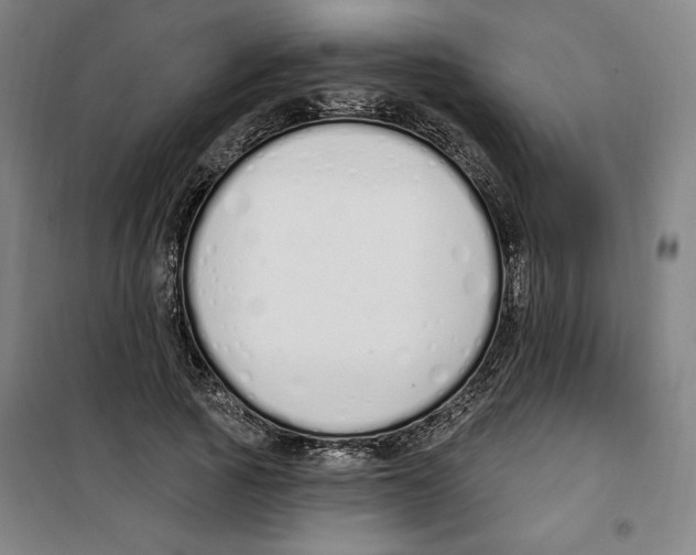 X0000100320737200807031210