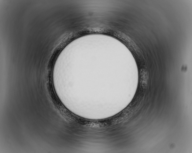 X0000100320738200807031210