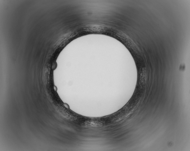 X0000100320739200807031210