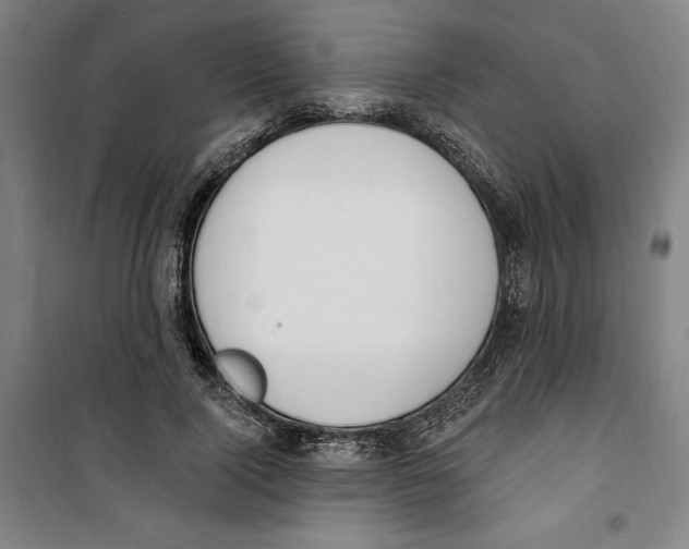 X0000100320740200807031210