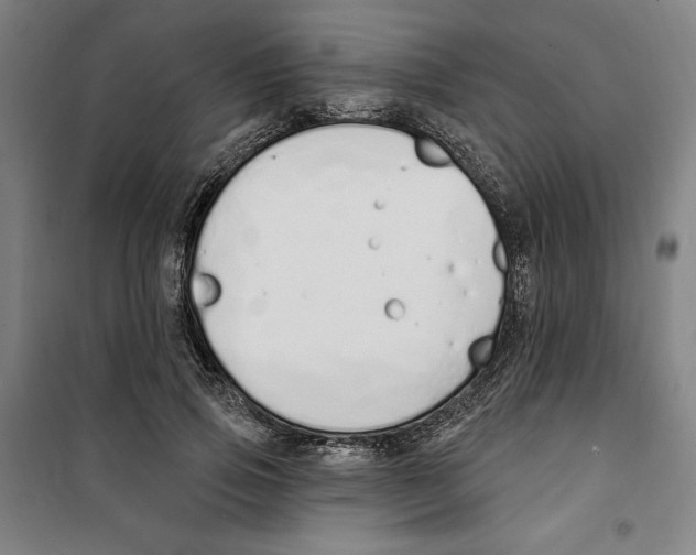 X0000100320741200807031210