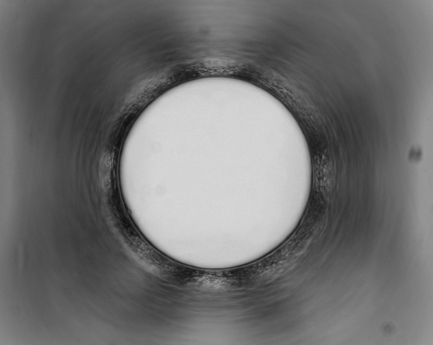 X0000100320742200807031210