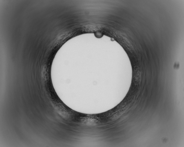 X0000100320743200807031210