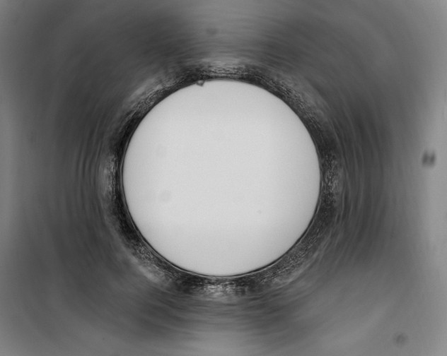 X0000100320744200807031210