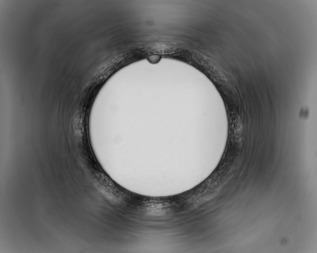 X0000100320746200807031210