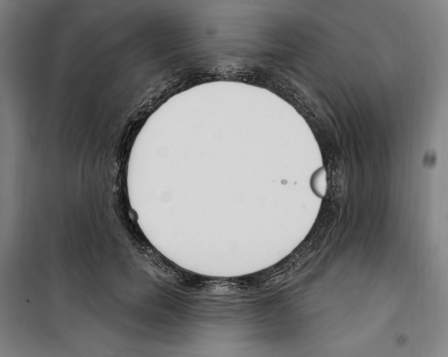 X0000100320750200807031210