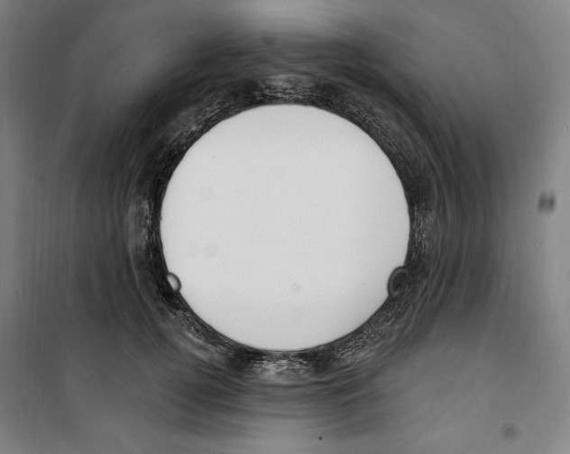 X0000100320752200807031210