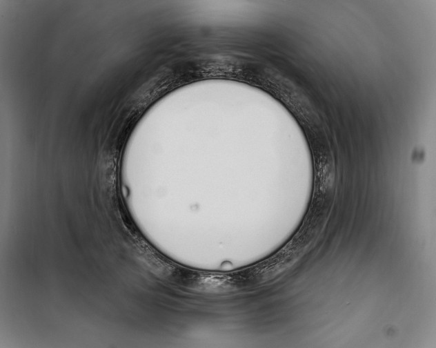 X0000100320753200807031210