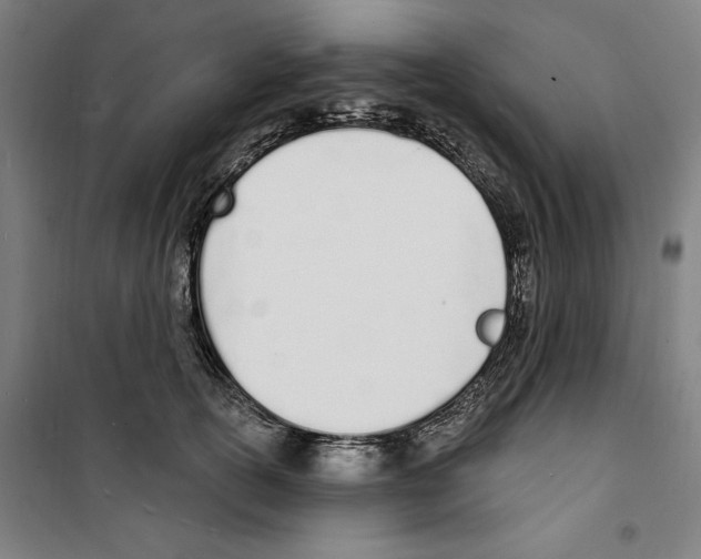 X0000100320754200807031210