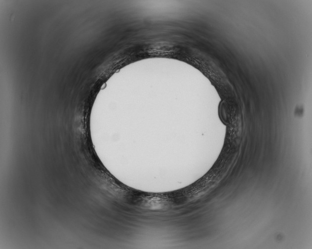 X0000100320755200807031210