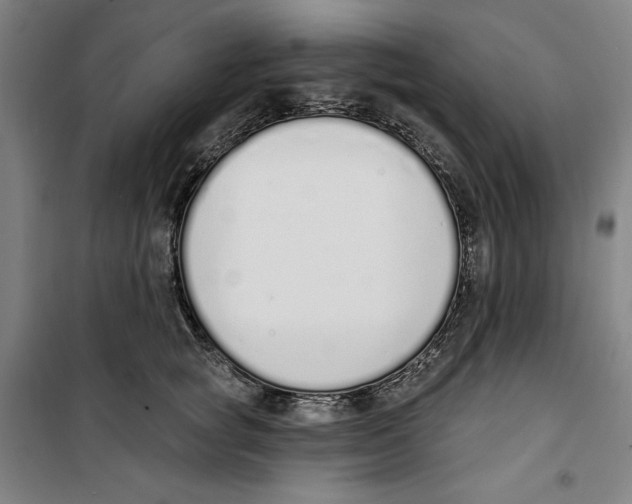 X0000100320757200807031210