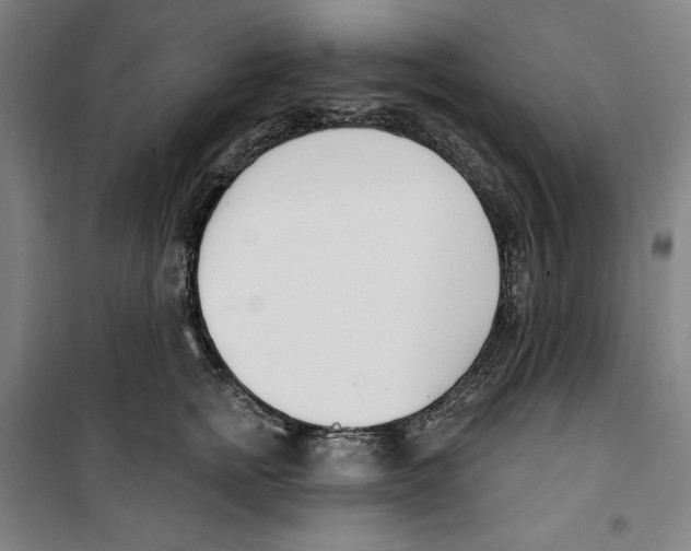 X0000100320758200807031210