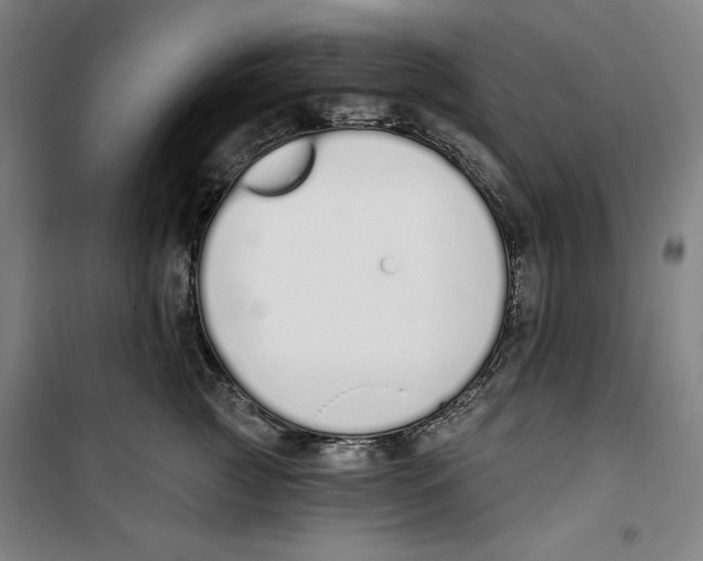 X0000100320761200807031210