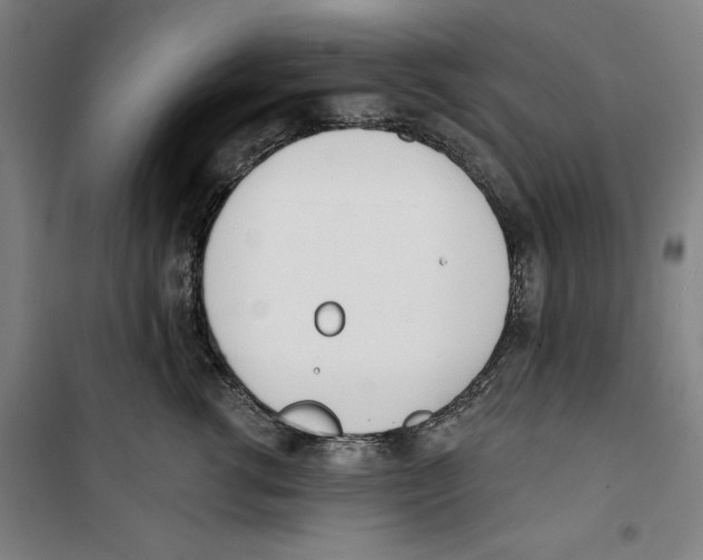 X0000100320762200807031210