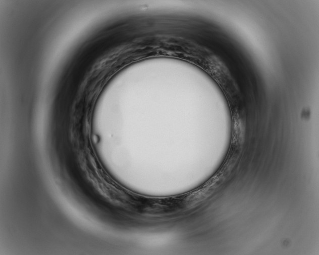 X0000100320765200807031210