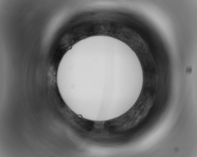 X0000100320766200807031210