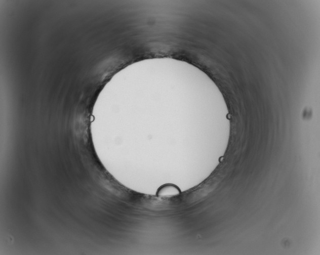 X0000100320768200807031210