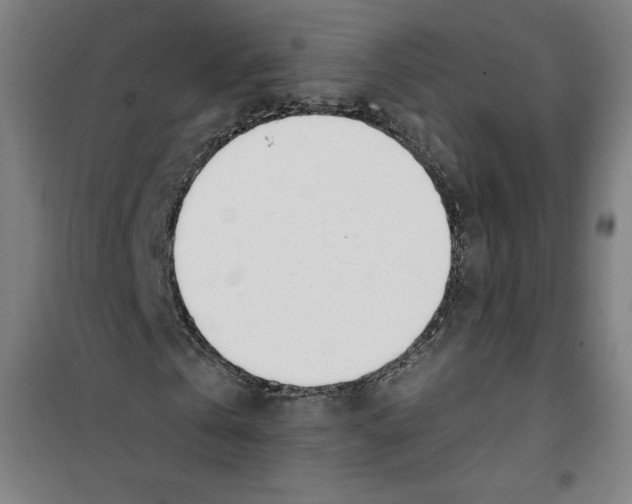 X0000100320769200807031210