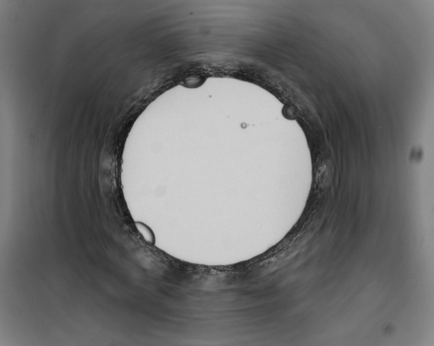 X0000100320772200807031210