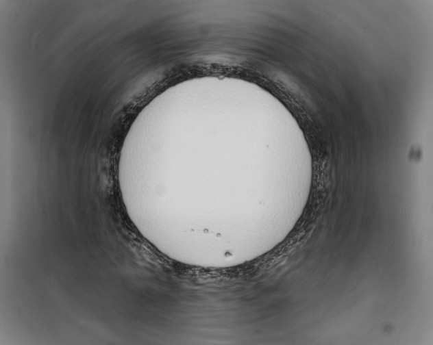 X0000100320774200807031210