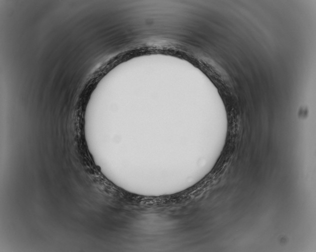 X0000100320776200807031210