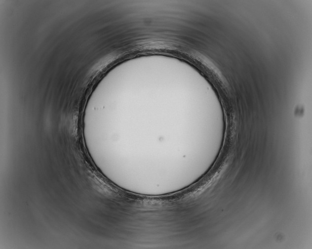 X0000100320777200807031210