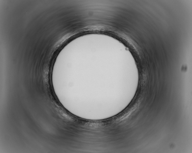 X0000100320778200807031210