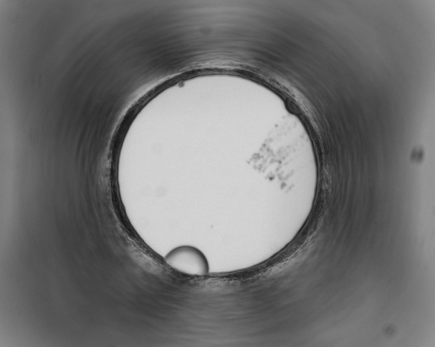 X0000100320779200807031210