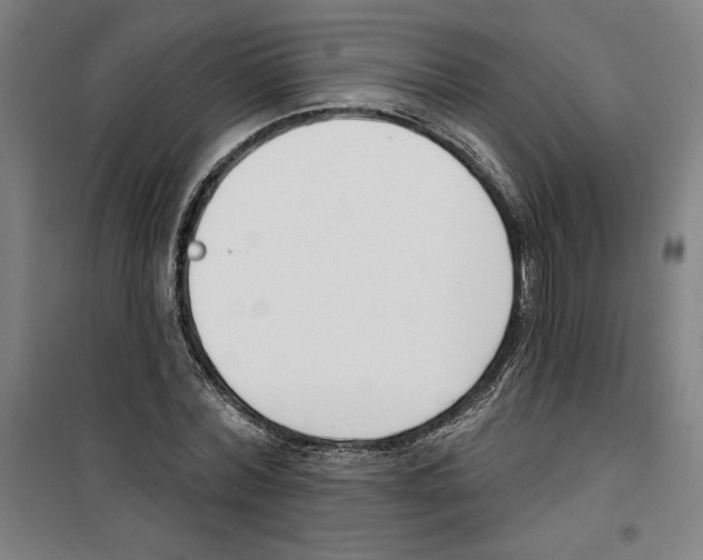 X0000100320780200807031210