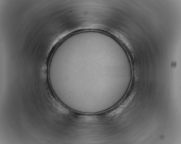 X0000100320781200807031210