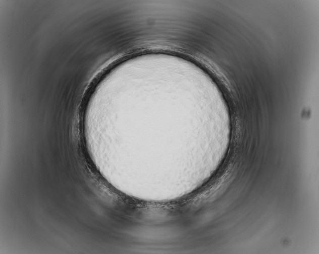 X0000100320782200807031209