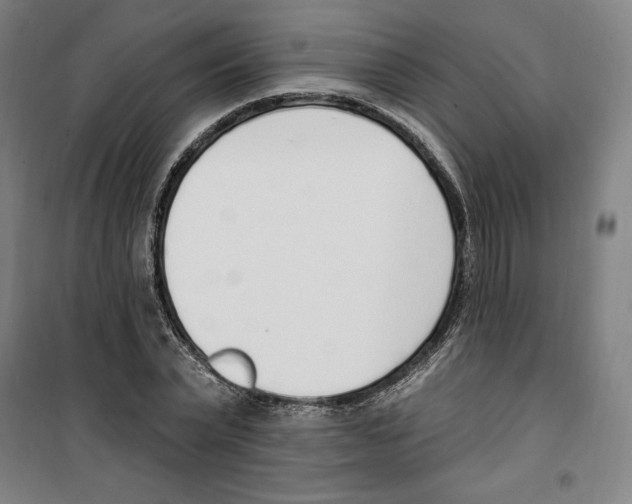 X0000100320783200807031209