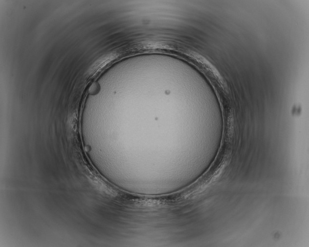 X0000100320785200807031209