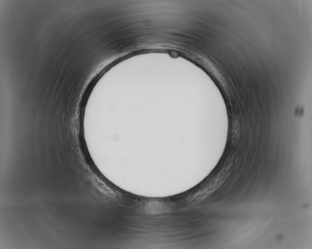 X0000100320787200807031209