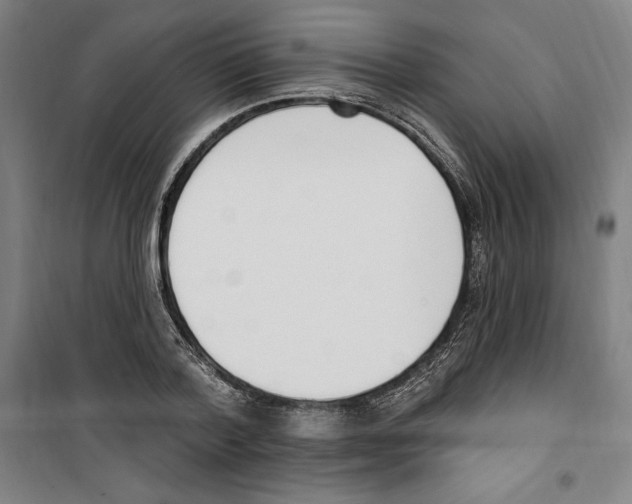 X0000100320788200807031209