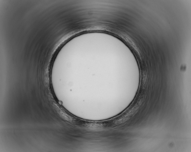 X0000100320789200807031209