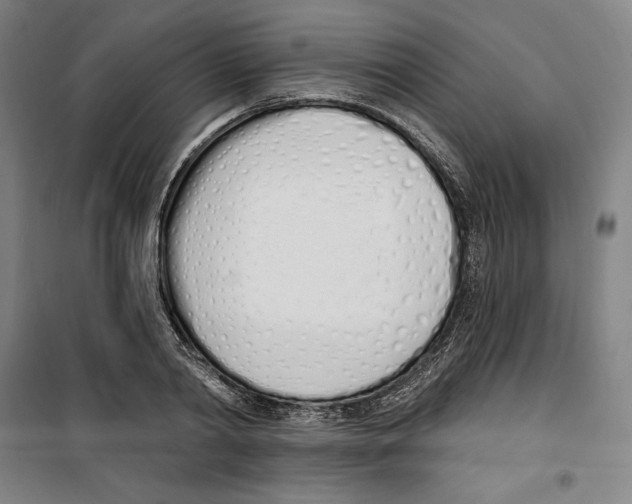 X0000100320790200807031209